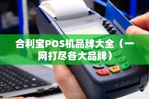 合利宝POS机品牌大全（一网打尽各大品牌）