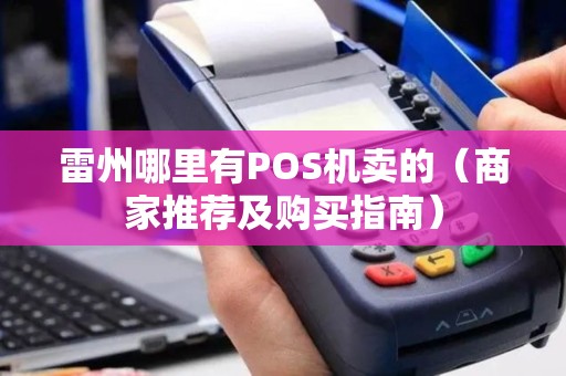雷州哪里有POS机卖的（商家推荐及购买指南）