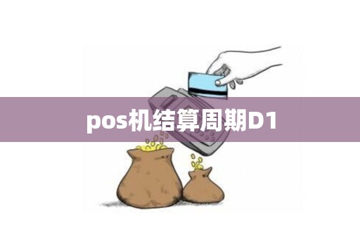 pos机结算周期D1