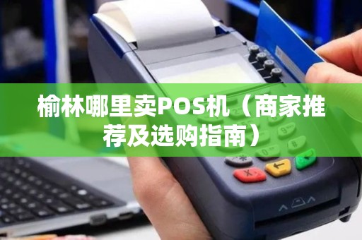 榆林哪里卖POS机（商家推荐及选购指南）