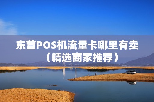 东营POS机流量卡哪里有卖（精选商家推荐）
