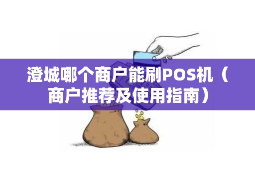 澄城哪个商户能刷POS机（商户推荐及使用指南）