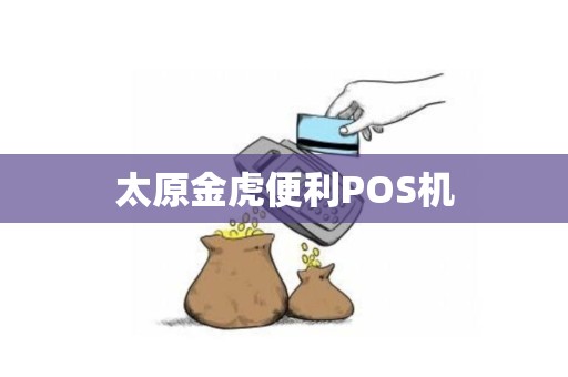 太原金虎便利POS机