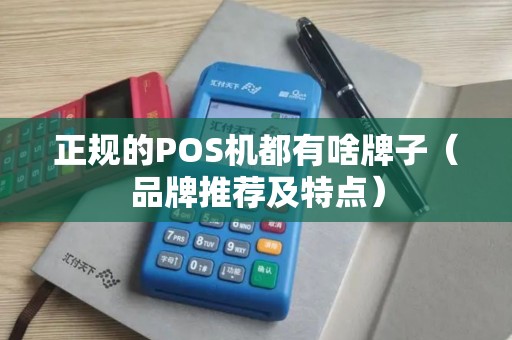 正规的POS机都有啥牌子（品牌推荐及特点）