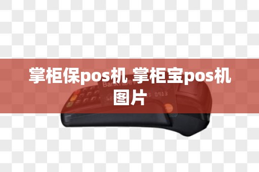 掌柜保pos机 掌柜宝pos机图片
