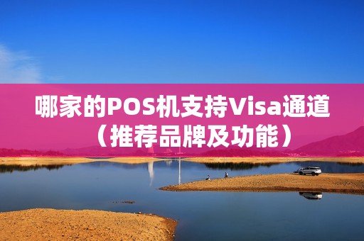 哪家的POS机支持Visa通道（推荐品牌及功能）
