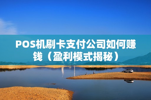 POS机刷卡支付公司如何赚钱（盈利模式揭秘）