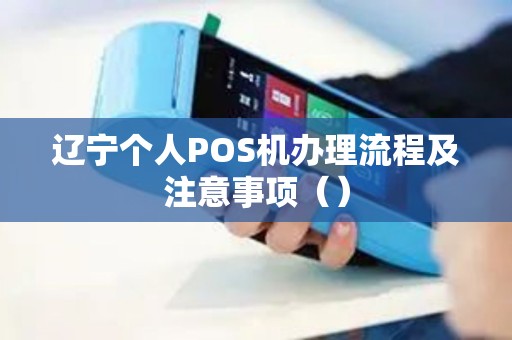 辽宁个人POS机办理流程及注意事项（）
