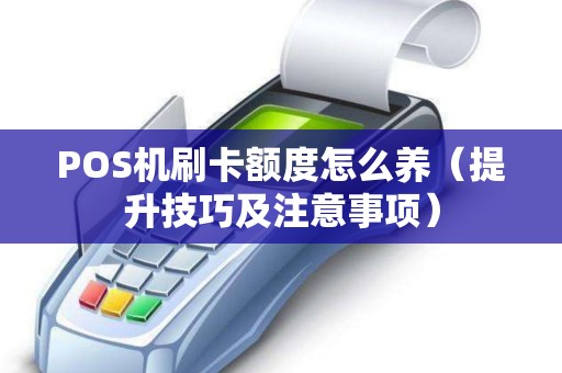 POS机刷卡额度怎么养（提升技巧及注意事项）