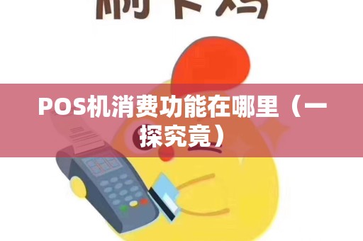 POS机消费功能在哪里（一探究竟）