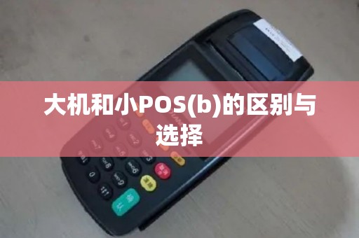大机和小POS(b)的区别与选择