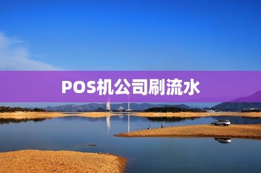 POS机公司刷流水