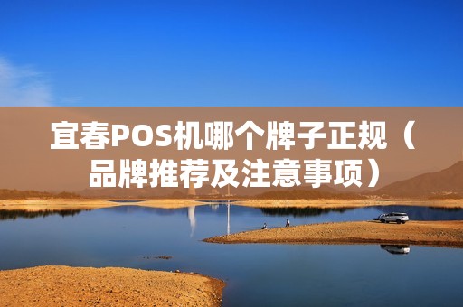 宜春POS机哪个牌子正规（品牌推荐及注意事项）