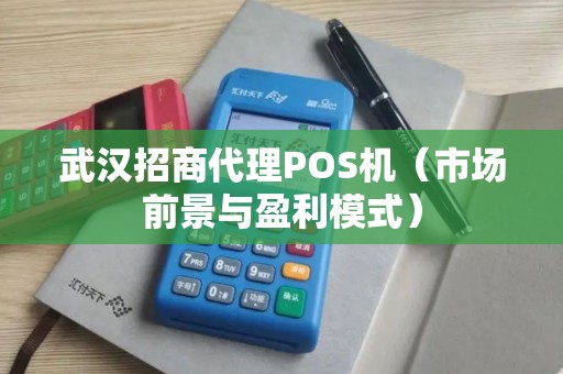 武汉招商代理POS机（市场前景与盈利模式）