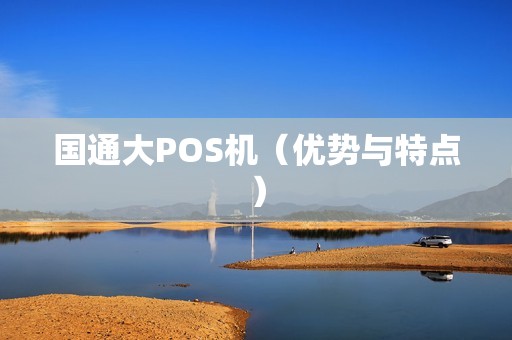 国通大POS机（优势与特点）