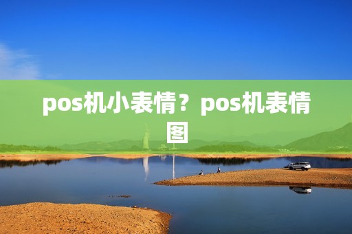 pos机小表情？pos机表情图