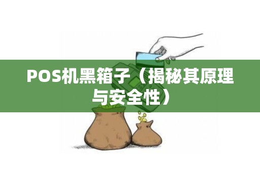 POS机黑箱子（揭秘其原理与安全性）
