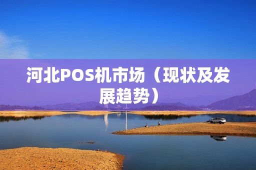 河北POS机市场（现状及发展趋势）