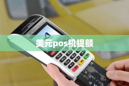 美元pos机提额