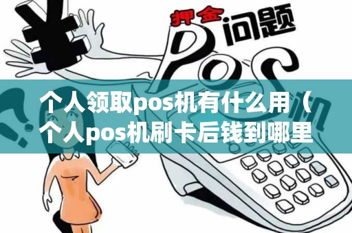 个人领取pos机有什么用（个人pos机刷卡后钱到哪里了）