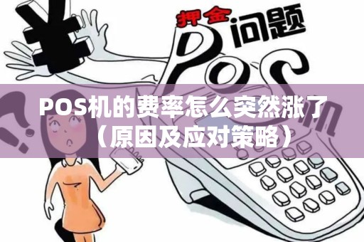 POS机的费率怎么突然涨了（原因及应对策略）