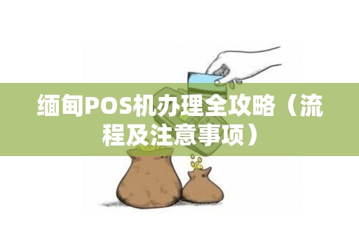 缅甸POS机办理全攻略（流程及注意事项）