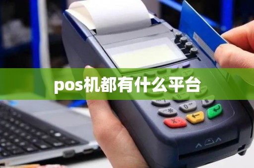 pos机都有什么平台