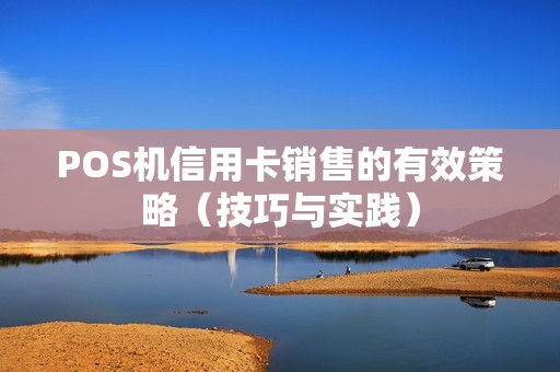 POS机信用卡销售的有效策略（技巧与实践）