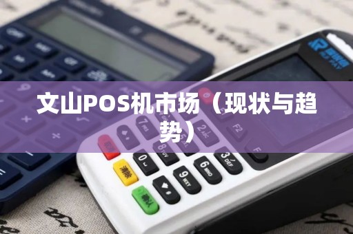 文山POS机市场（现状与趋势）