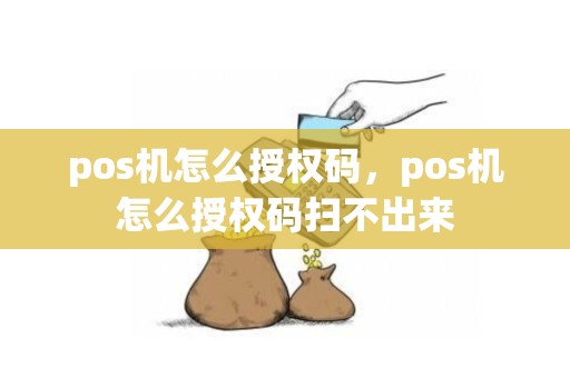 pos机怎么授权码，pos机怎么授权码扫不出来