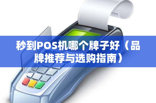 秒到POS机哪个牌子好（品牌推荐与选购指南）