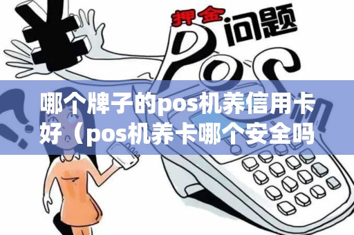 哪个牌子的pos机养信用卡好（pos机养卡哪个安全吗）