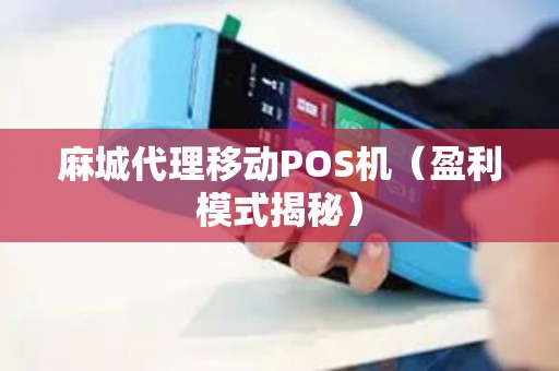麻城代理移动POS机（盈利模式揭秘）