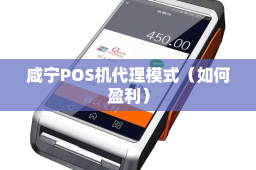 咸宁POS机代理模式（如何盈利）