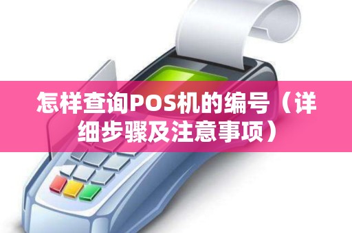 怎样查询POS机的编号（详细步骤及注意事项）