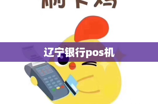 辽宁银行pos机