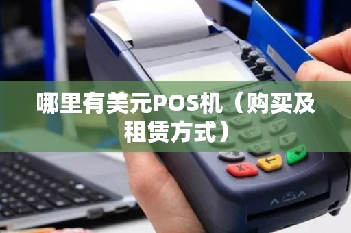 哪里有美元POS机（购买及租赁方式）