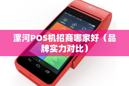 漯河POS机招商哪家好（品牌实力对比）