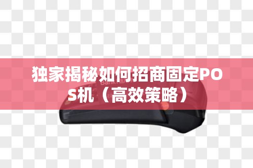 独家揭秘如何招商固定POS机（高效策略）