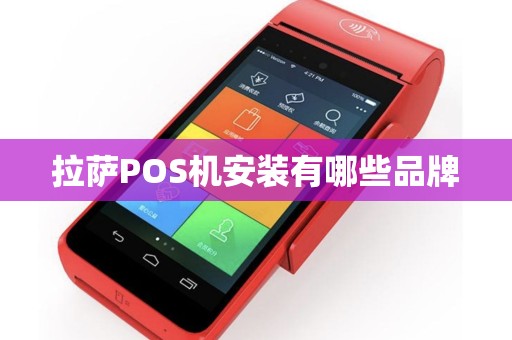 拉萨POS机安装有哪些品牌