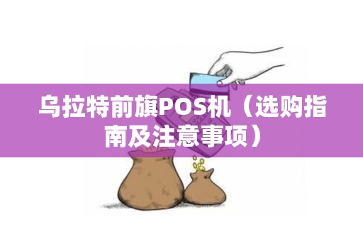 乌拉特前旗POS机（选购指南及注意事项）