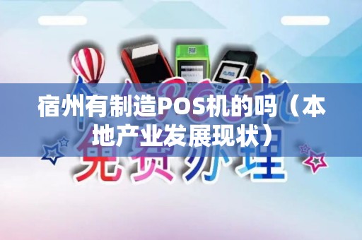 宿州有制造POS机的吗（本地产业发展现状）