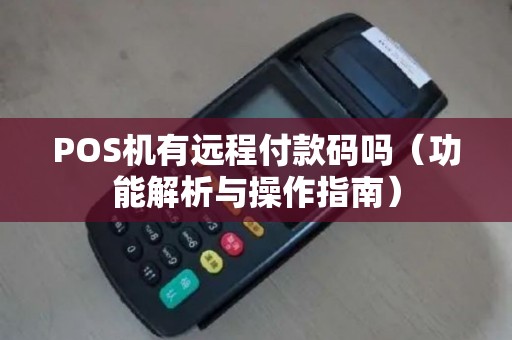 POS机有远程付款码吗（功能解析与操作指南）