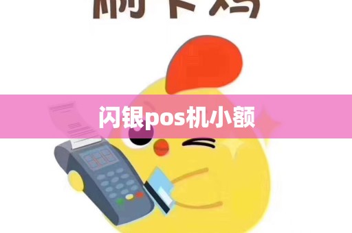 闪银pos机小额