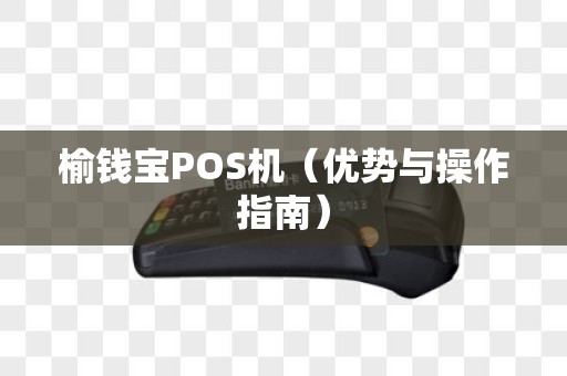 榆钱宝POS机（优势与操作指南）