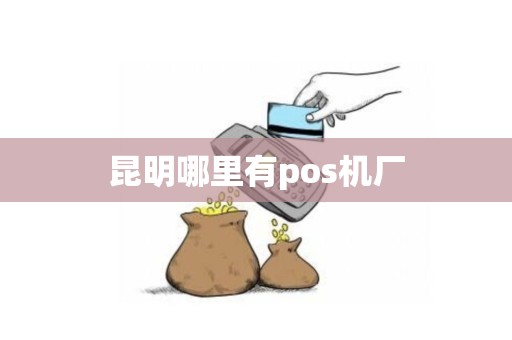 昆明哪里有pos机厂