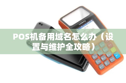POS机备用域名怎么办（设置与维护全攻略）