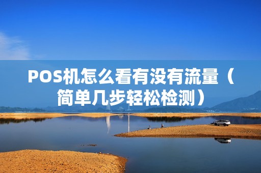 POS机怎么看有没有流量（简单几步轻松检测）