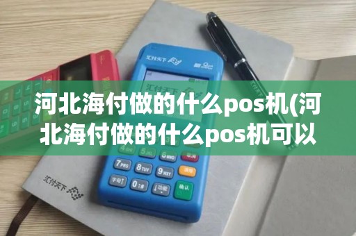 河北海付做的什么pos机(河北海付做的什么pos机可以刷卡)