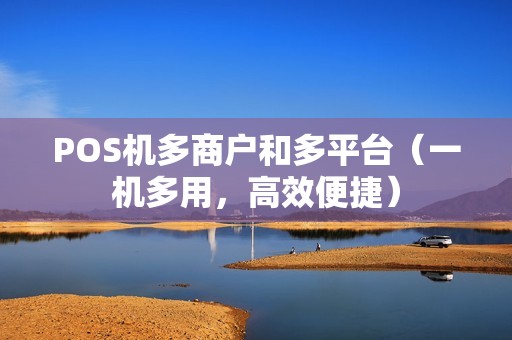 POS机多商户和多平台（一机多用，高效便捷）